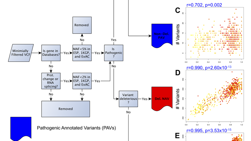 Challenges and disparities in the application of personalized genomic medicine to populations with African ancestry