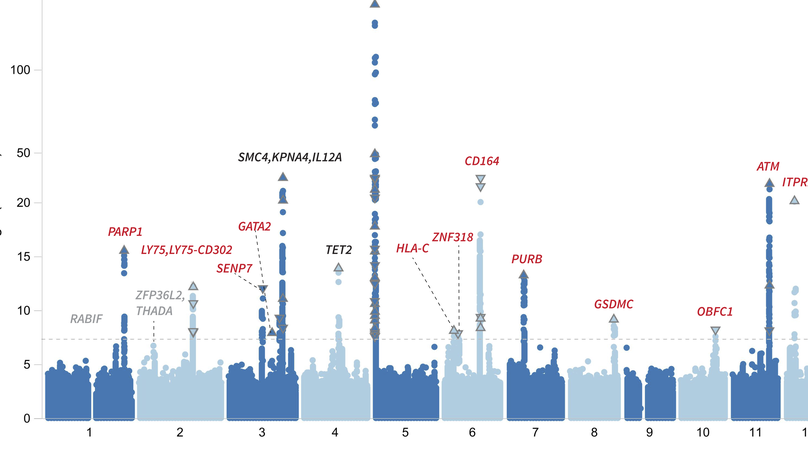 Common and rare variant associations with clonal haematopoiesis phenotypes