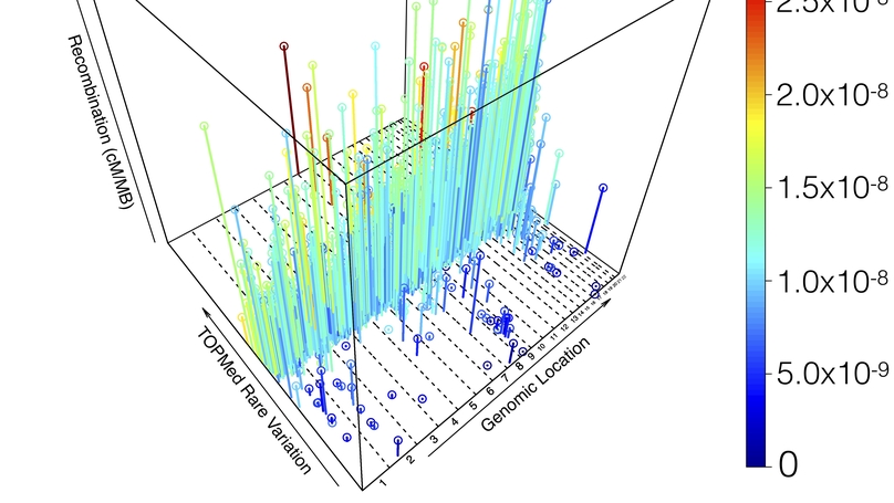 De novo mutations across 1,465 diverse genomes reveal mutational insights and reductions in the Amish founder population