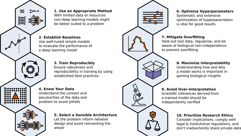 Ten quick tips for deep learning in biology
