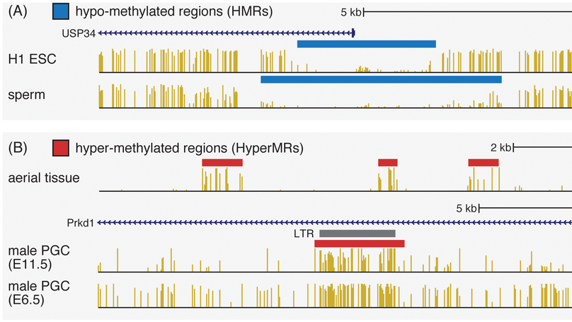 A reference methylome database and analysis pipeline to facilitate integrative and comparative epigenomics